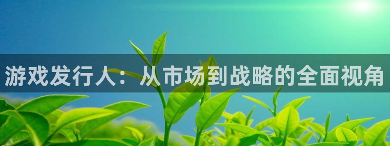 bbin视讯子签约作家：游戏发行人：从市场到战略的全面视角