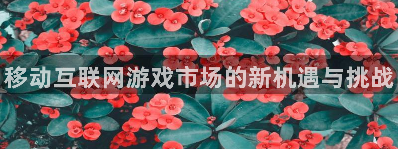 bbin视讯官网注册平台官网下载：移动互联网游戏市场的新机遇与挑战
