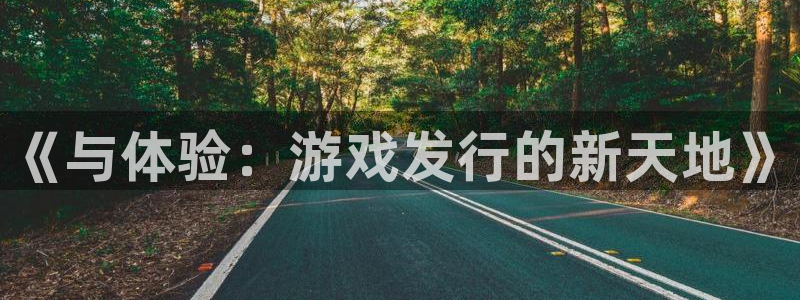 bbin视讯官网注册方法视频：《与体验：游戏发行的新天地》
