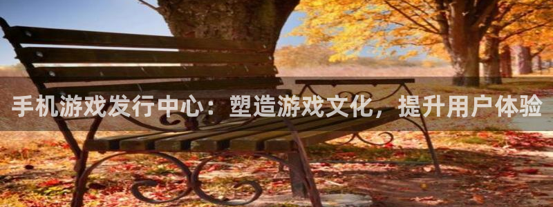 bbin视讯官网登录注册账号安全吗可靠吗：手机游戏发行中心：塑造游戏文化，提升用户体验