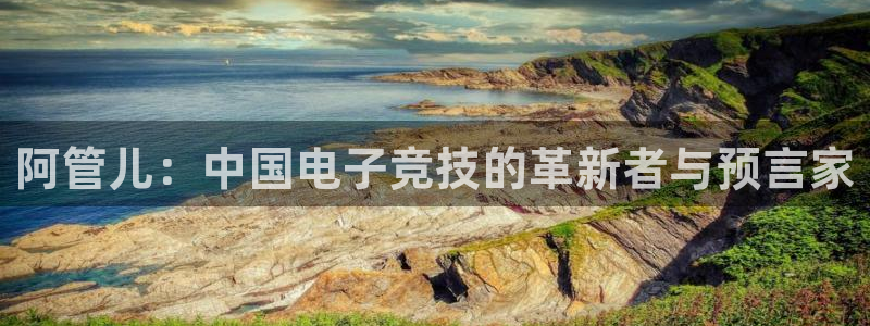bbin视讯官网登录注册账号是什么意思：阿管儿：中国电子竞技的革新者与预言家