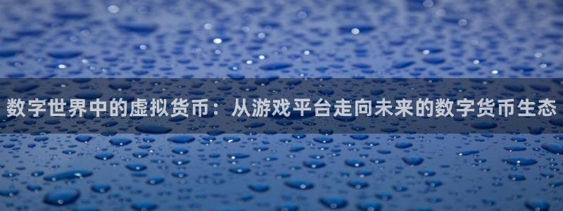 lvncesbbin视讯衣服价格：数字世界中的虚拟货币：从游戏平台走向未来的数字货币生态