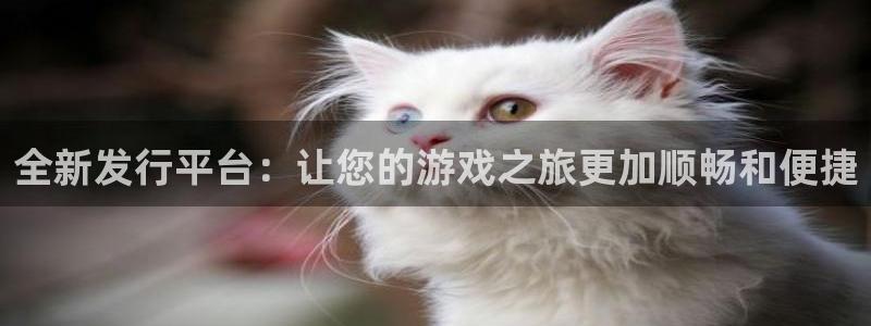 bbin视讯电子商务有限公司怎么样啊