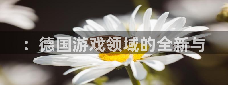 bbin视讯官网平台代理条件是什么