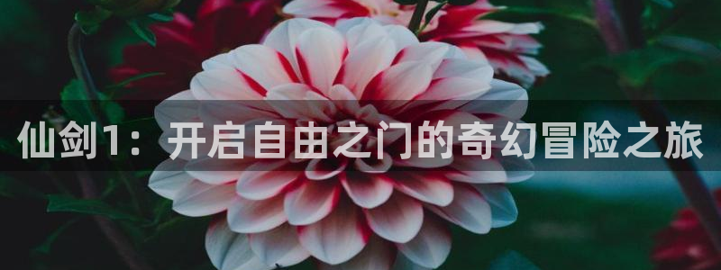 bbin视讯官网注册方法是什么软件：仙剑1：开启自由之门的奇幻冒险之旅