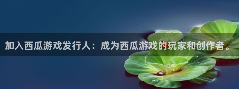 bbin视讯官网平台怎么样