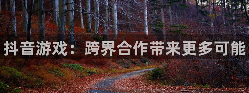 广东bbin视讯电子科技有限公司