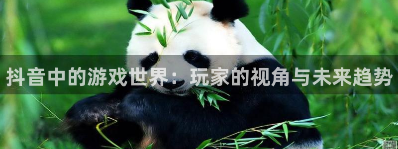 lvncesbbin视讯衣服